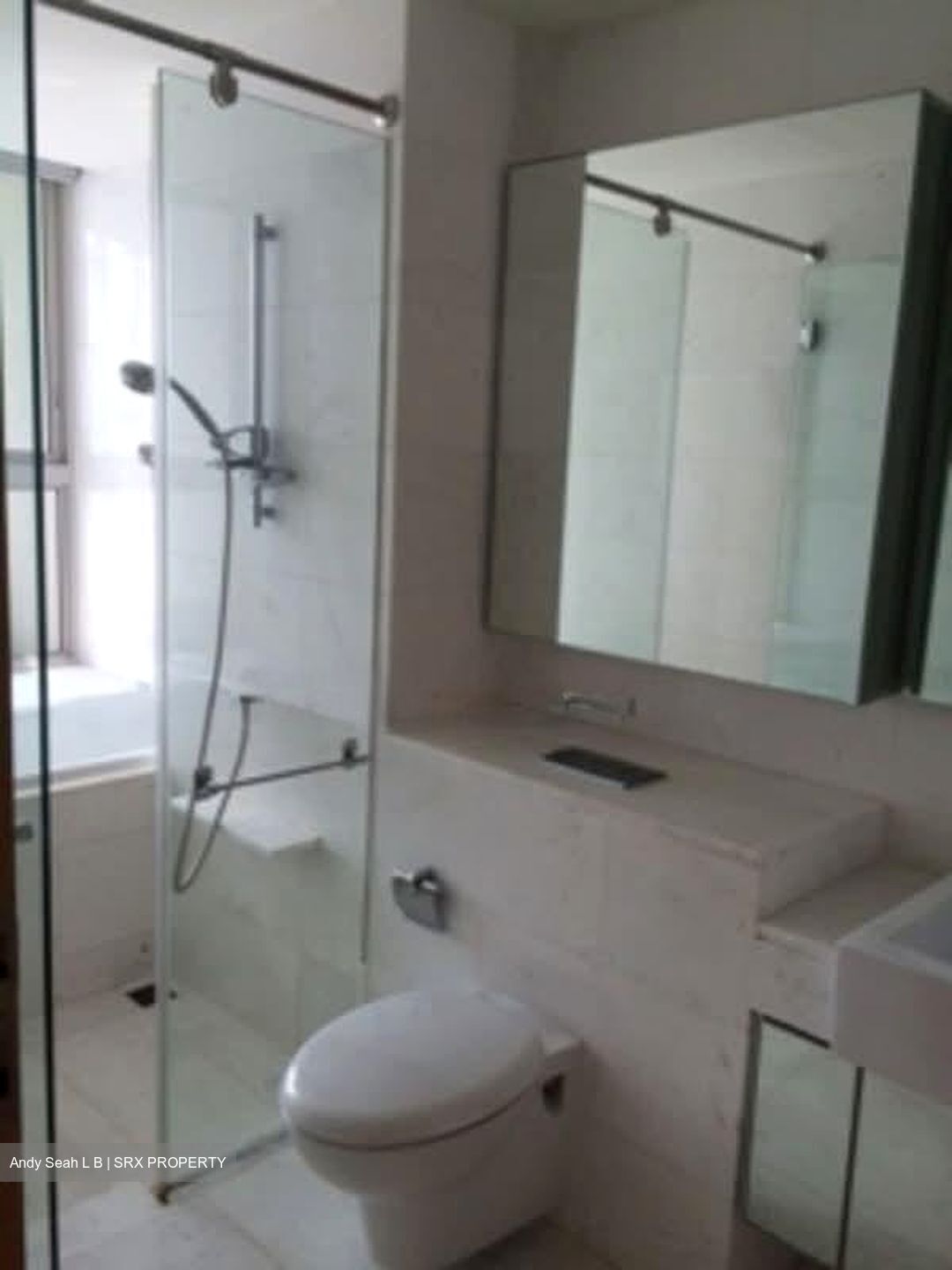Tribeca (D9), Condominium #561389491